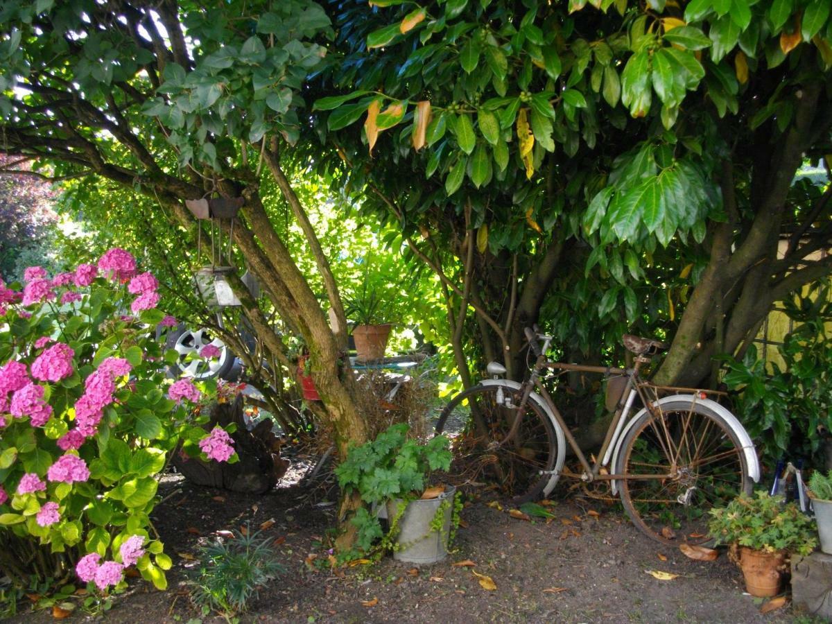 Au Bois Dormant Bed & Breakfast Huby-Saint-Leu Exterior photo